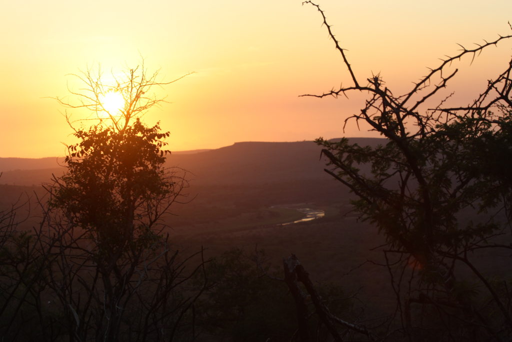 south Africa safari lodges